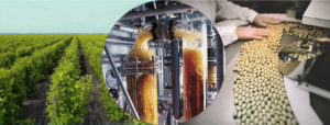 Success Story Dr. Willmar Schwabe Group – ILC GmbH